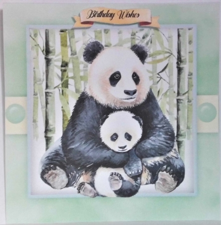 Beautiful Panda and Baby by Hazel Underwood