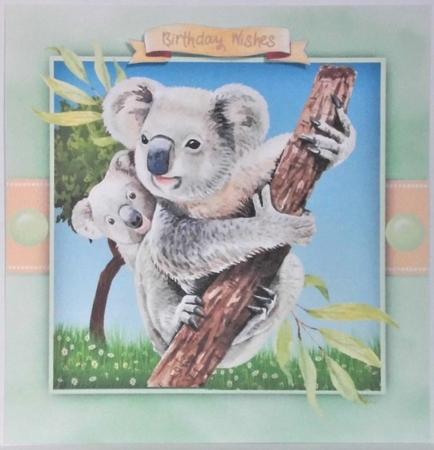 Beautiful Koala and Baby by Hazel Underwood