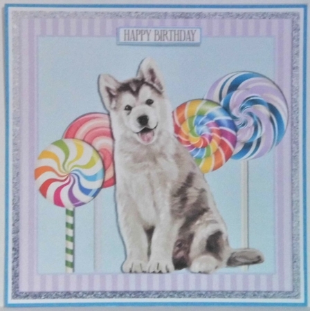 MY BOY LOLLIPOP 6X6 by Hazel Underwood