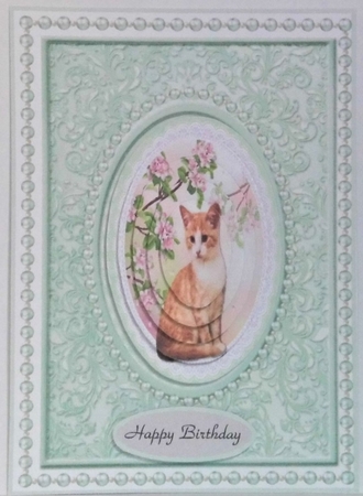 Spring Time Cat by Hazel Underwood