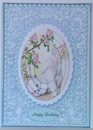 Playful Kitten by Hazel Underwood