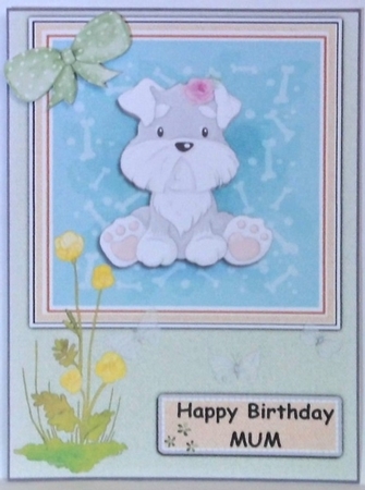 cute dog by Hazel Underwood