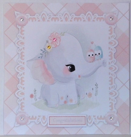 Gorgeous Baby Girl Elephant With Birds 8x8 by Hazel Underwood