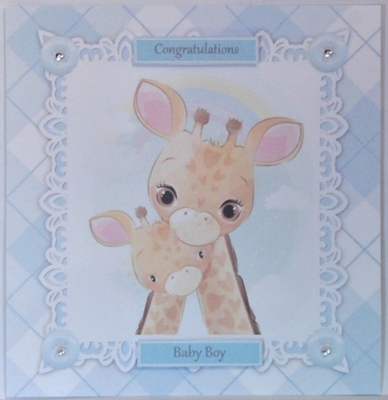 Gorgeous Baby Boy Giraffes 8x8 by Hazel Underwood