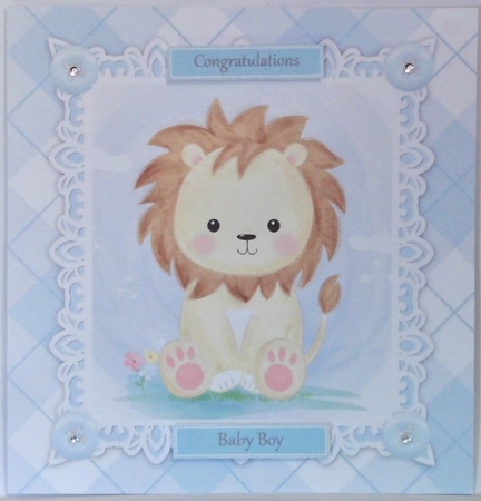 Gorgeous Baby Boy Lion 8x8 by Hazel Underwood