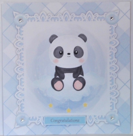 Gorgeous Baby Boy Panda 8x8 by Hazel Underwood