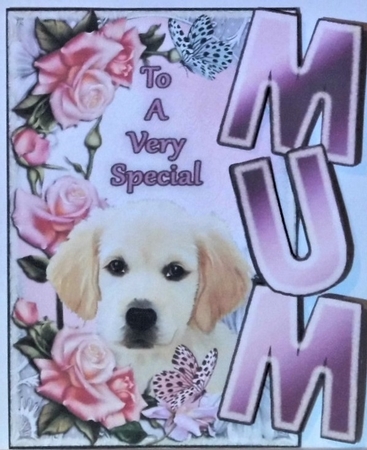 Mum- Roses and Puppy by Hazel Underwood