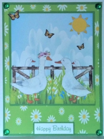 Birthday greeting card with geese by Hazel Underwood
