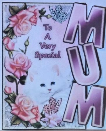 Mum- Roses and Fluffy Puss by Hazel Underwood