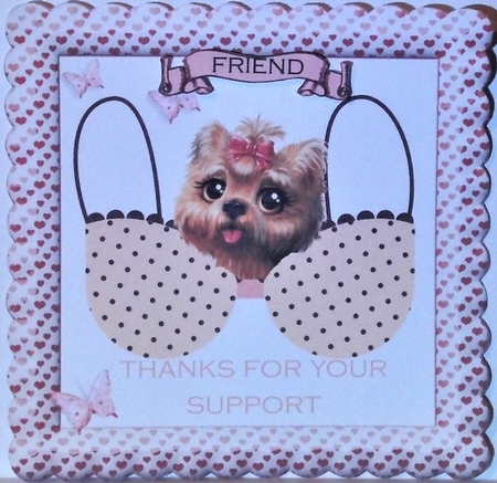 Support Bra Dog Featured Gallery Photo