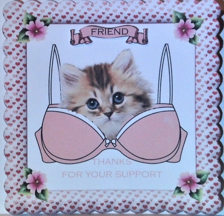 Support Bra Kitten by Hazel Underwood