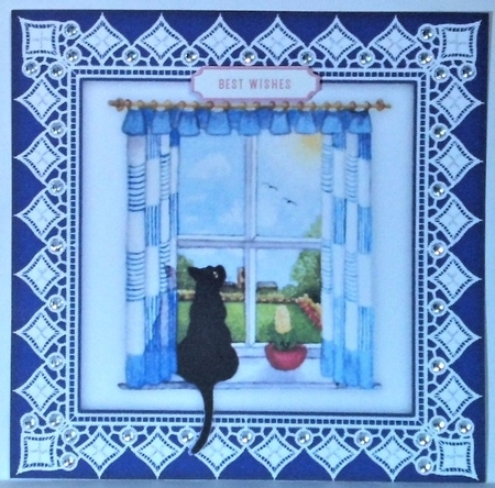 Black Cat In The Spring Window - 8 x 8 Card Kit by Hazel Underwood