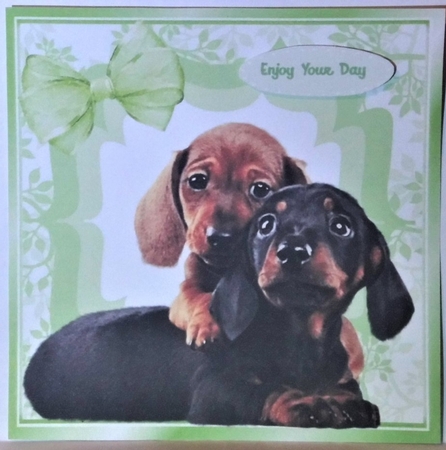 Cute Dachshund puppies with green organza bow 7x7 by Hazel Underwood