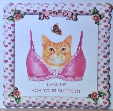 Support Bra Cat by Hazel Underwood
