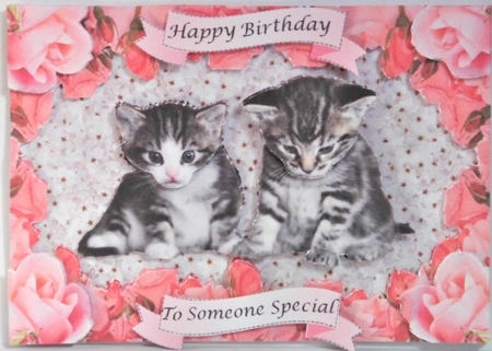 Kittens in Pink Roses Frame - various sentiments MK by Hazel Underwood