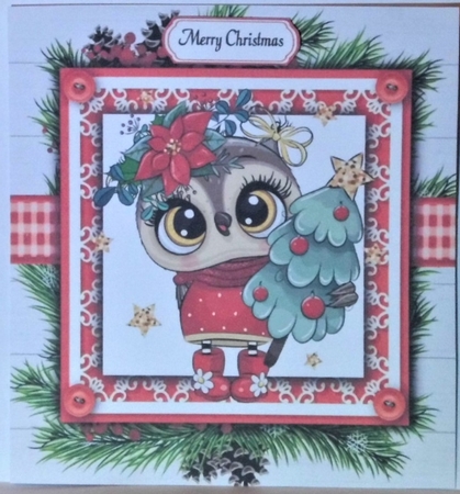 Gorgeous Owl In Holly Frame 8x8 by Hazel Underwood