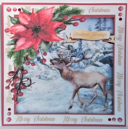 Beautiful Stag and Poinsettia  by Hazel Underwood