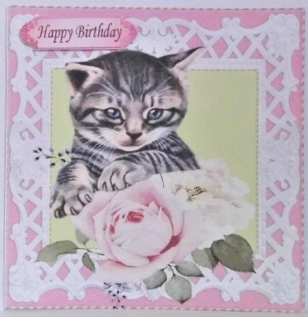 Pretty pink roses with kitten in  lattice 8x8 frame by Hazel Underwood