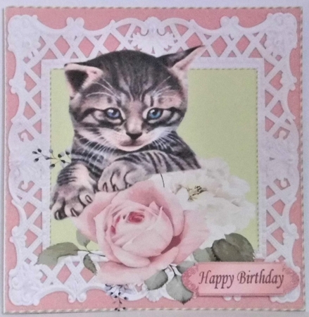 Pretty peach roses with kitten in  lattice 8x8 frame by Hazel Underwood