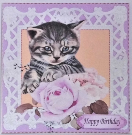  4 Pretty roses with kittens card fronts in  lattice 8x8 frame mini kit by Hazel Underwood