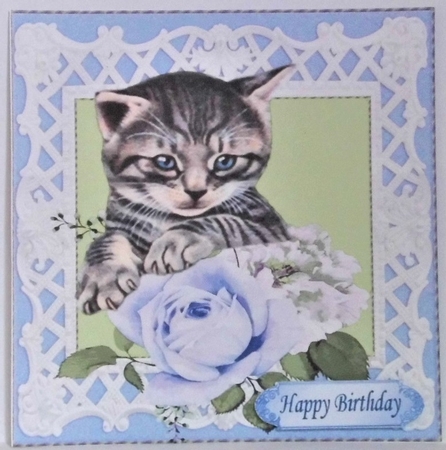  4 Pretty roses with kittens card fronts in  lattice 8x8 frame mini kit by Hazel Underwood