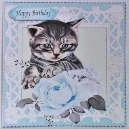 Pretty turq roses with kitten in  lattice 8x8 frame by Hazel Underwood