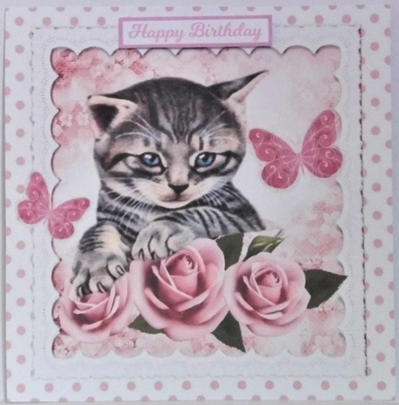 Pretty blush pink roses with kitten and polkadots 8x8 by Hazel Underwood