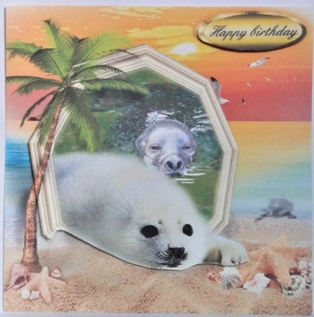 seal pup by Hazel Underwood