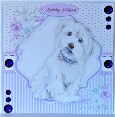 Hello There Maltese Dog  by Hazel Underwood