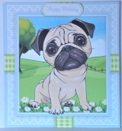 Cute Pug In Gingham Frame 8x8 by Hazel Underwood