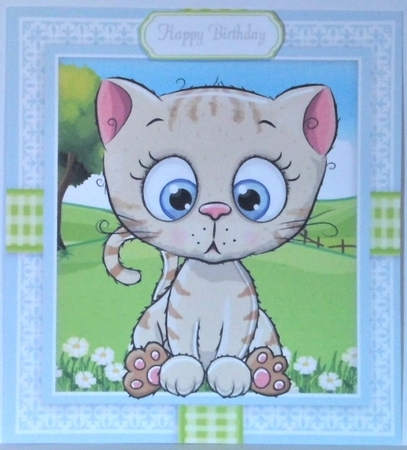 Cute Cat  In Gingham Frame 8x8 by Hazel Underwood
