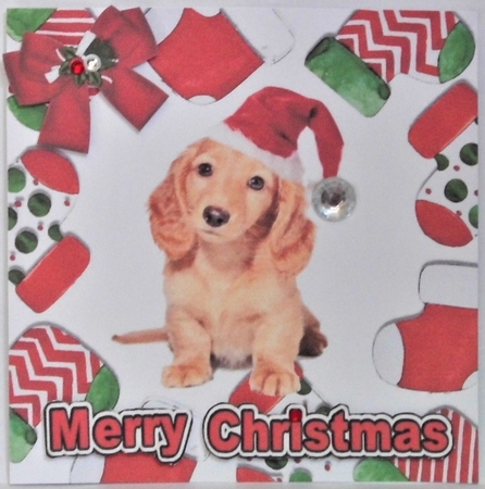 Cute puppy in santa hat in christmas sock frames 7x7 by Hazel Underwood