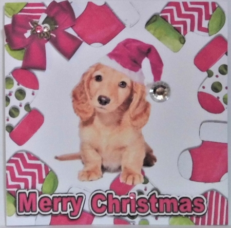 Cute puppy in pink santa hat in christmas sock frames 7x7 by Hazel Underwood