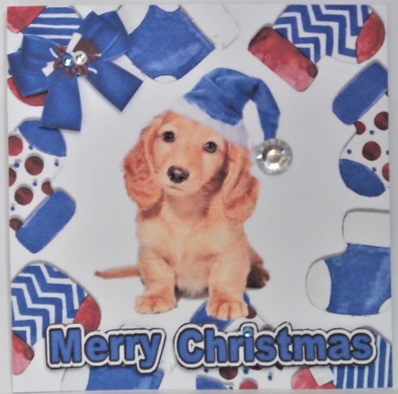 Cute puppy in blue santa hat in christmas sock frames 7x7 by Hazel Underwood