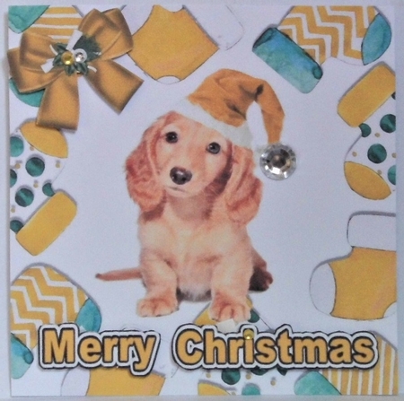 Cute puppy in gold santa hat in christmas sock frames 7x7 by Hazel Underwood