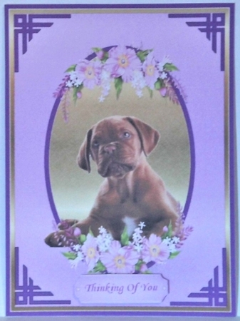Floral Puppy by Hazel Underwood