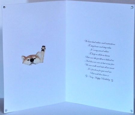 Isolation birthday  by Hazel Underwood