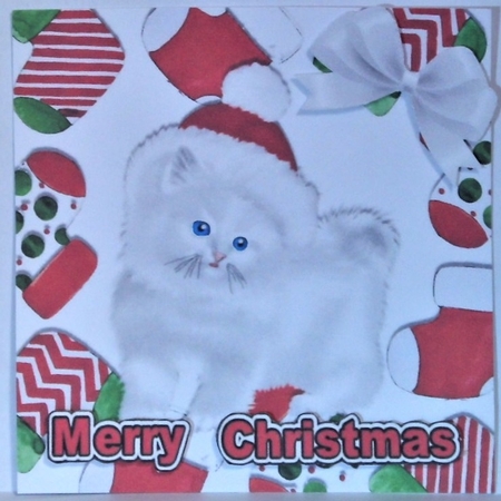 Cute white kitty in santa hat in christmas sock frame 7x7 by Hazel Underwood
