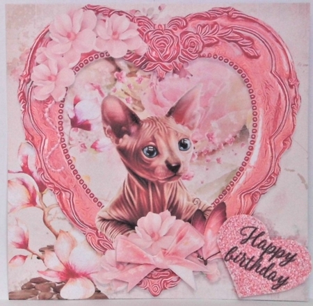 Hairless flower cat by Hazel Underwood