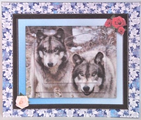 Wolf Fold Out by Hazel Underwood