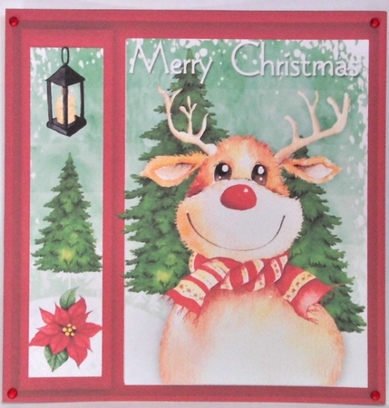 Cute Red Nose by Hazel Underwood