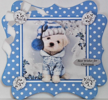 Cute pooch in blue polkadot 7x7 frame with bow by Hazel Underwood