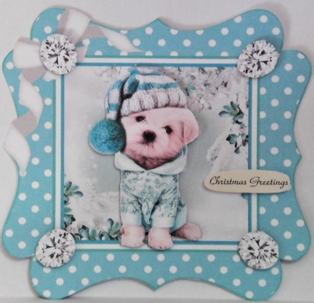 Cute pooch in turq polkadot 7x7 frame with bow by Hazel Underwood