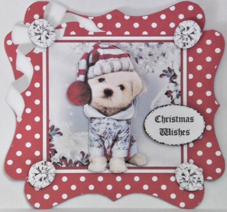 Cute pooch in red polkadot 7x7 frame with bow by Hazel Underwood