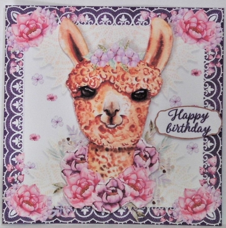 Sweet LLama by Hazel Underwood