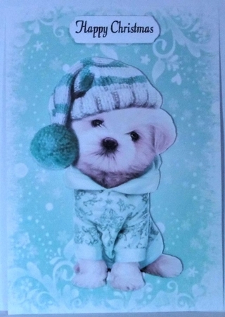 Cute puppy in turq christmas knitted hat A5 by Hazel Underwood