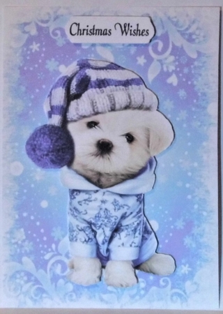  4 Cute puppies in christmas knitted hat A5 card fronts mini kit by Hazel Underwood