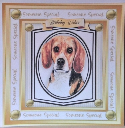 Beautiful Beagle Dog  by Hazel Underwood