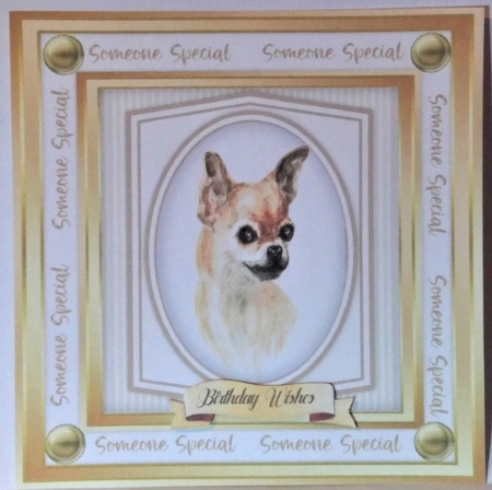 Beautiful Chihuahua Dog  by Hazel Underwood