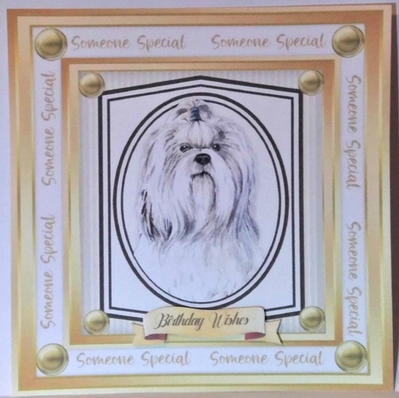 Beautiful Shih-Tzu  Dog  by Hazel Underwood